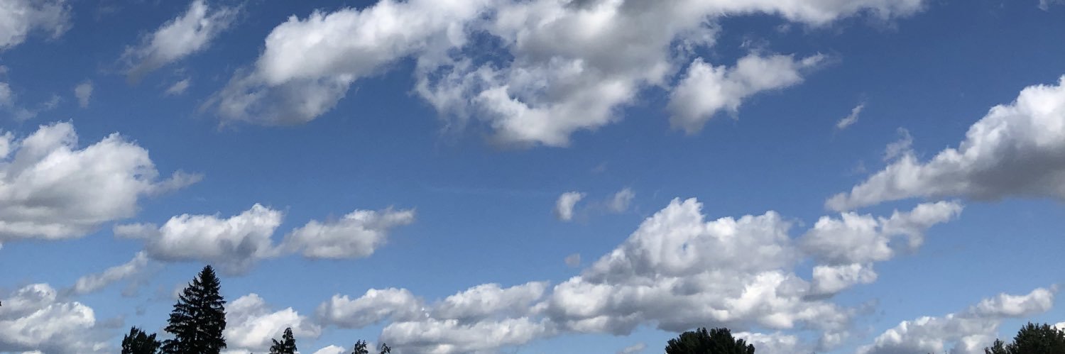 TheStewLittle's profile banner image