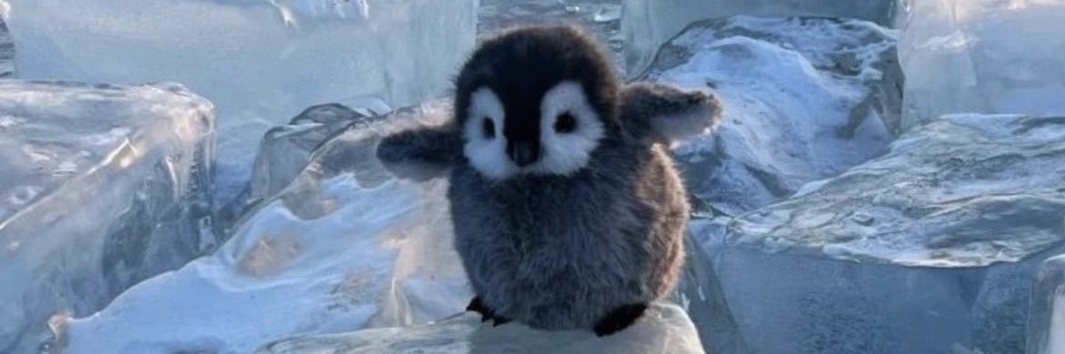 PinguinodeRayas's profile banner image