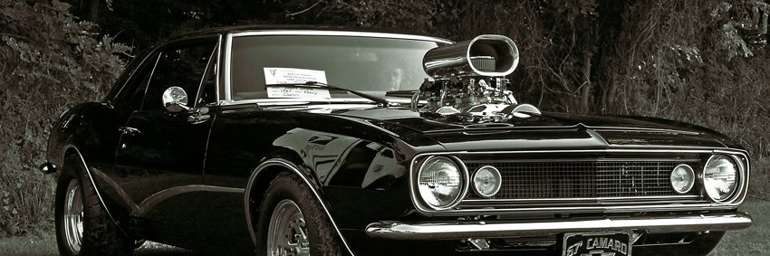 forastek's profile banner image