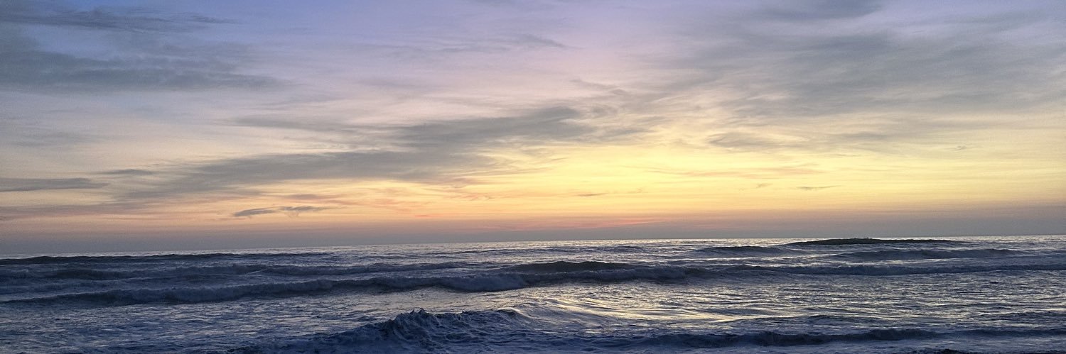 moanadelapucp's profile banner image