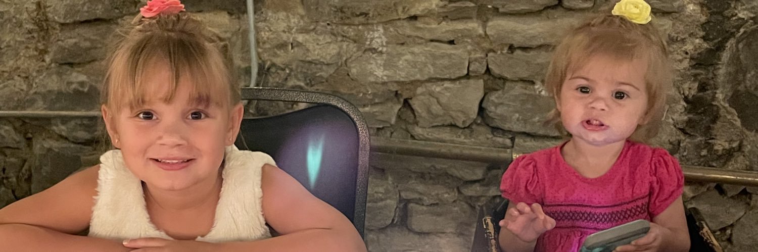 “The” Cubs Fan of STL banner