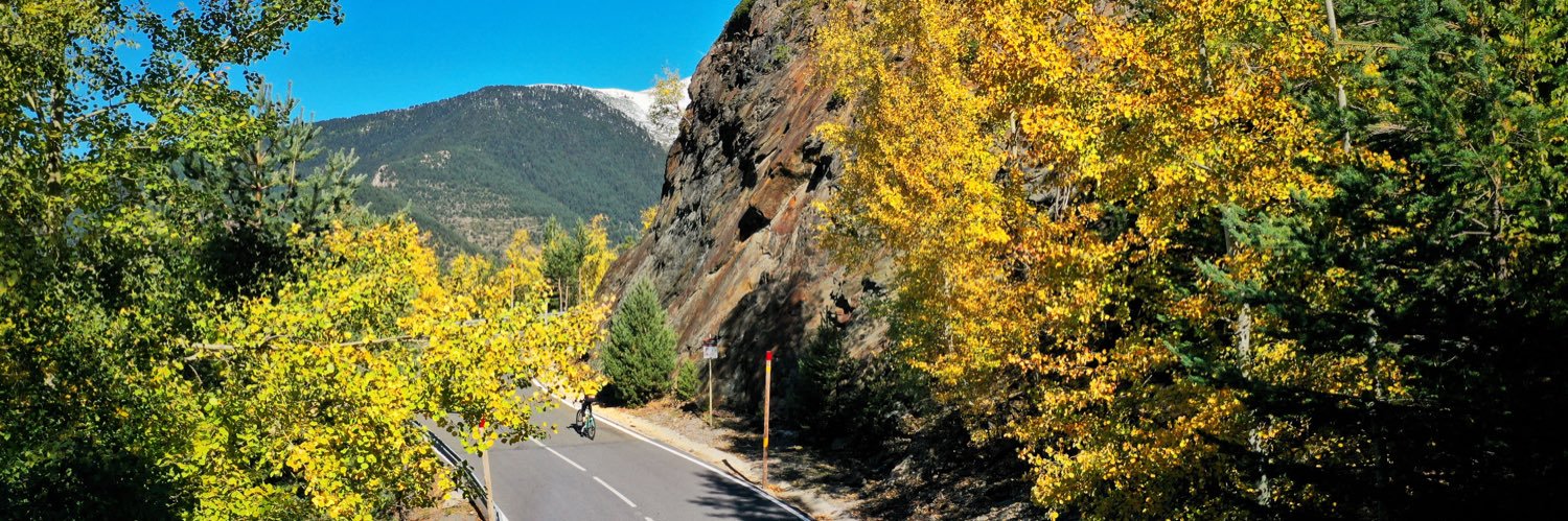 Robert Gesink banner
