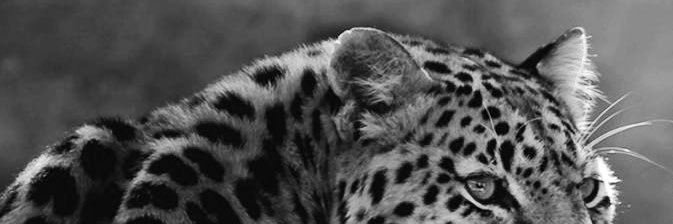 hannah8i's profile banner image