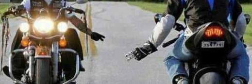 Alexander Wiberg banner