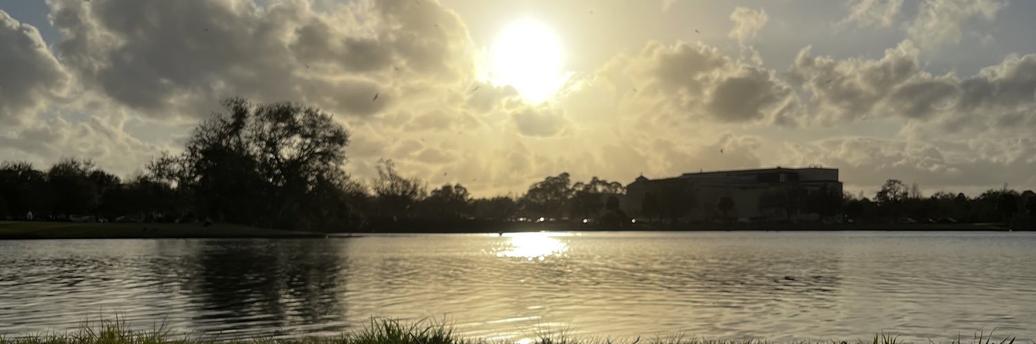 RDeMarko's profile banner image