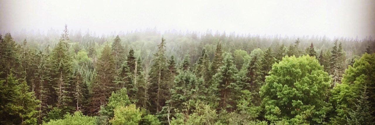 jsesposito's profile banner image