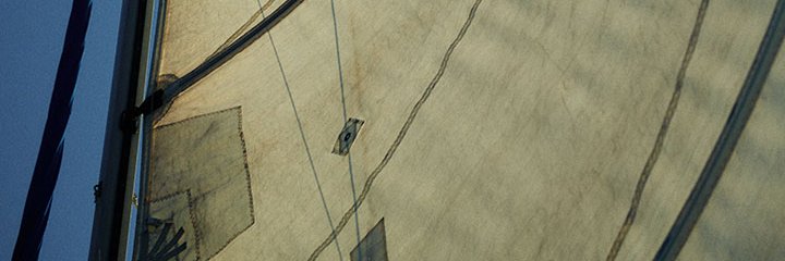 Mashallchen's profile banner image