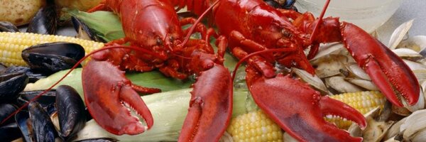 TheRecipeD Profile Banner