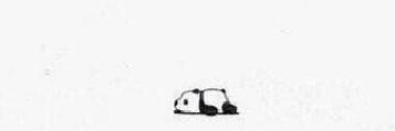 alejandrob_ok's profile banner image