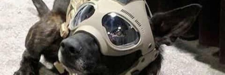 WBBR07's profile banner image