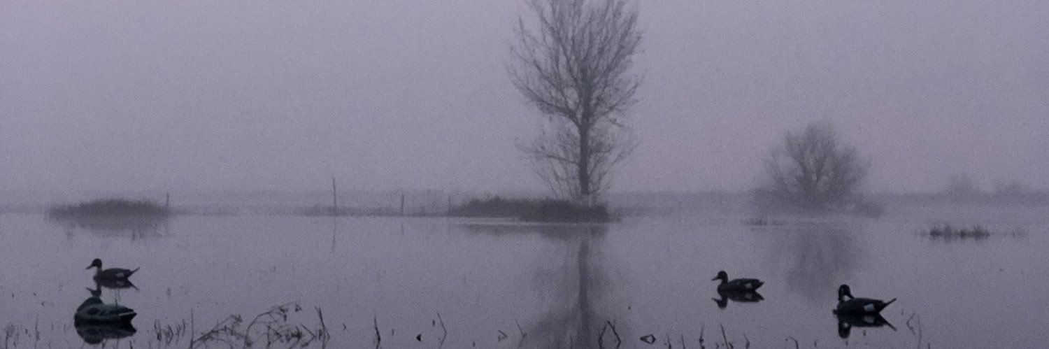 Duckhunter805's profile banner image