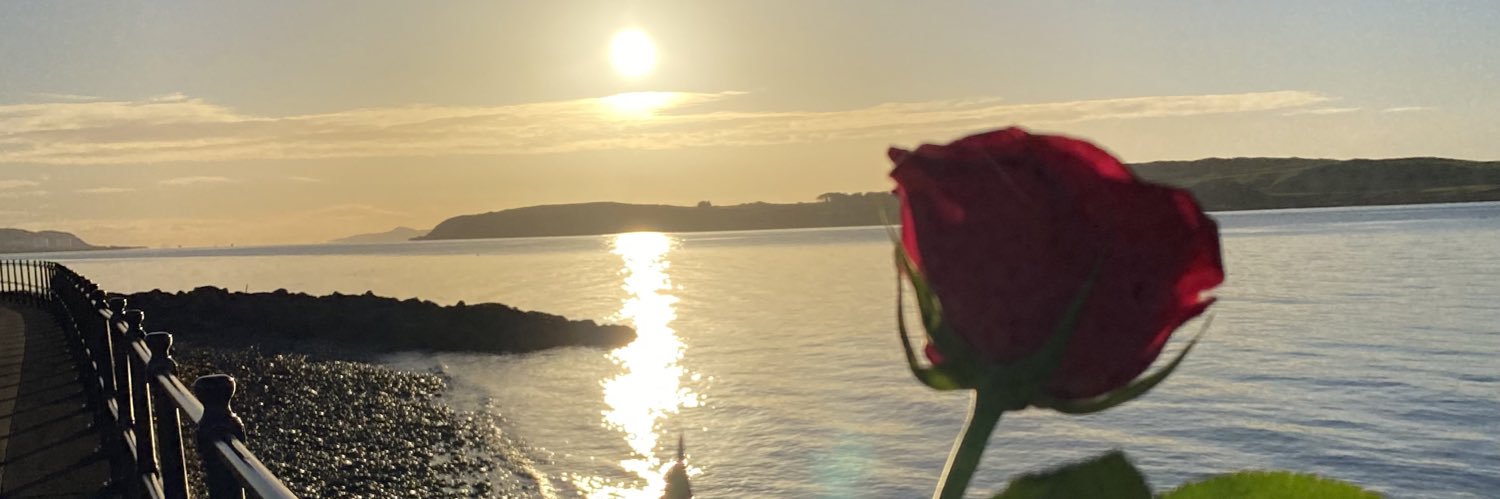 Lynnemcfarlane1's profile banner image