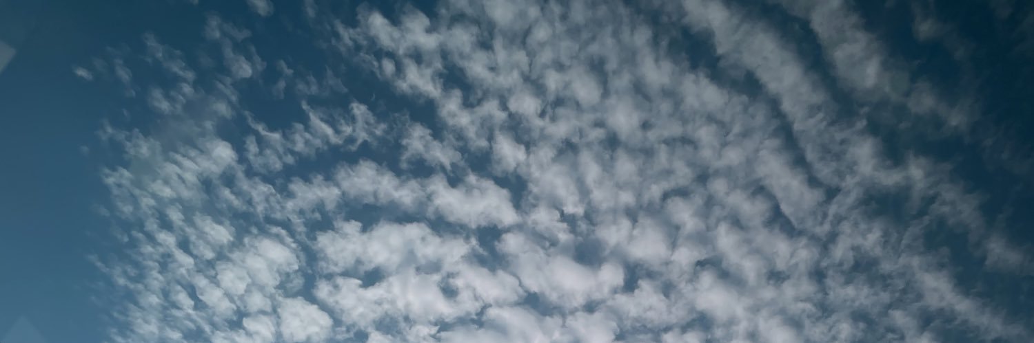 mell_mosz's profile banner image
