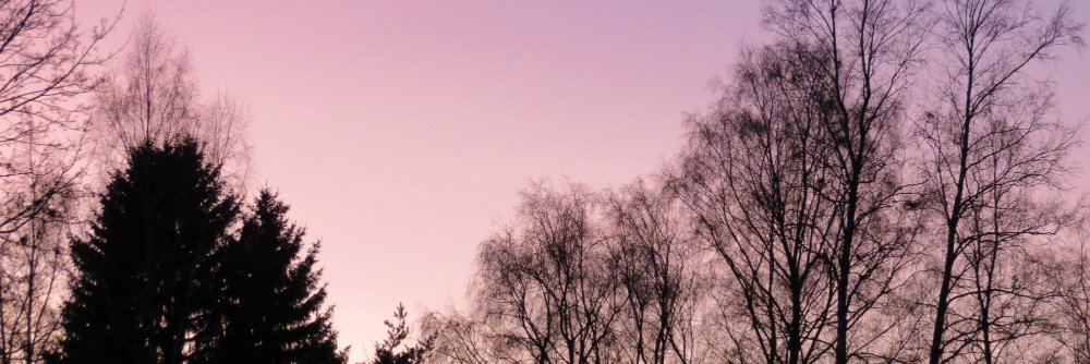supersnesei's profile banner image