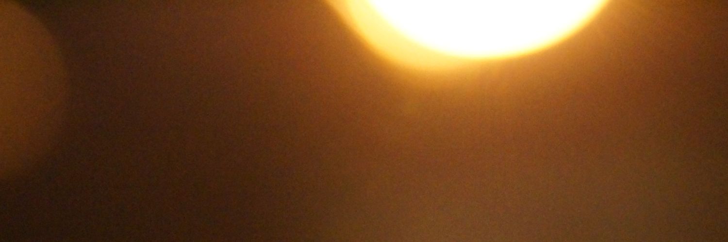 beedeeal's profile banner image