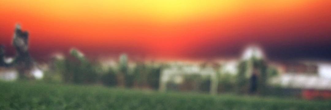 mmaextr's profile banner image