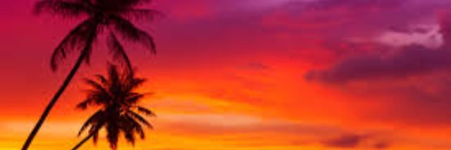 abbeymurphy2002's profile banner image