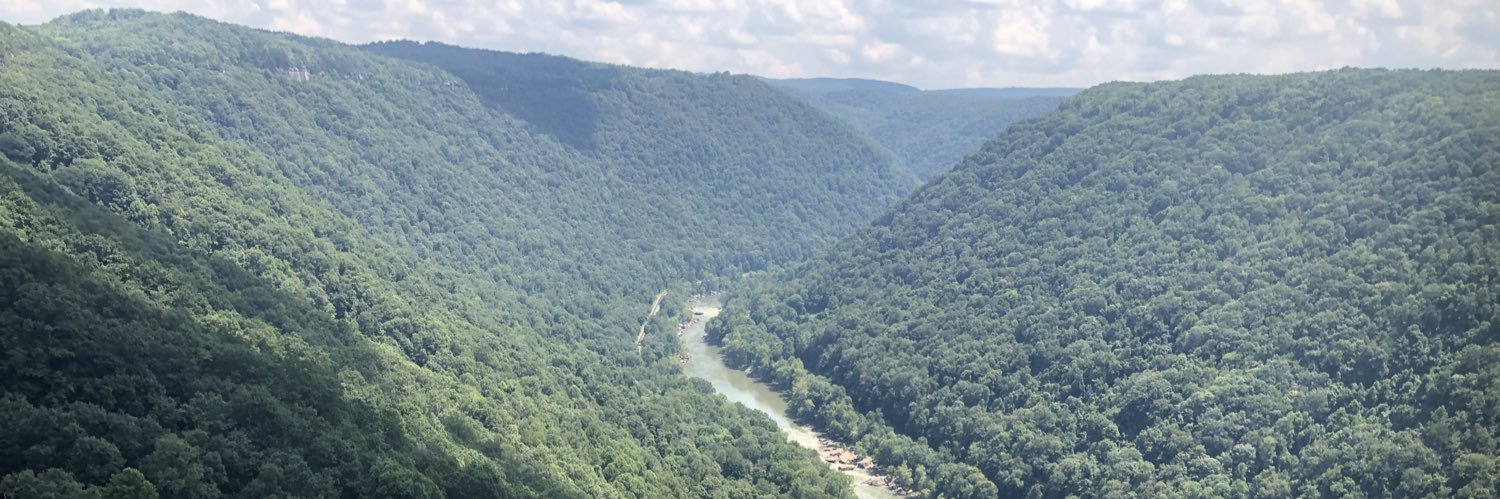 Carisa Collins banner