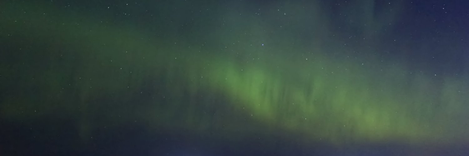 Fallaryn's profile banner image