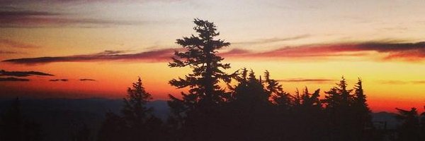 SassyChefSarahG Profile Banner