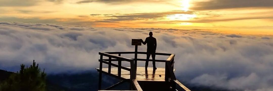 alejoherrer5's profile banner image