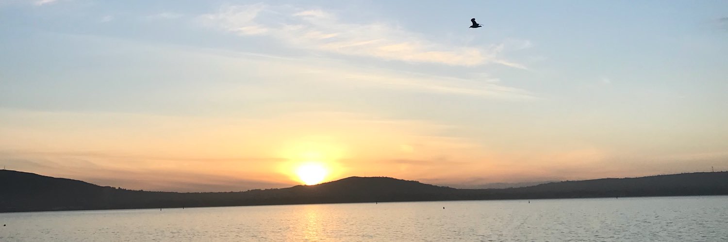 aimeewigham's profile banner image