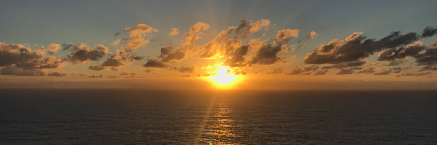 AlexisAnelli's profile banner image
