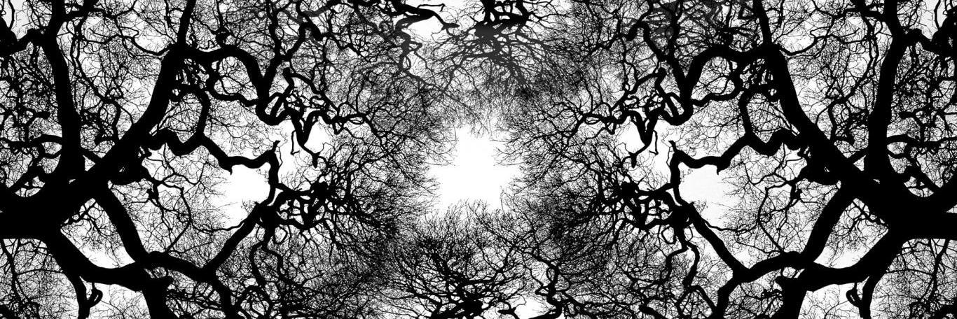 _BryanM's profile banner image