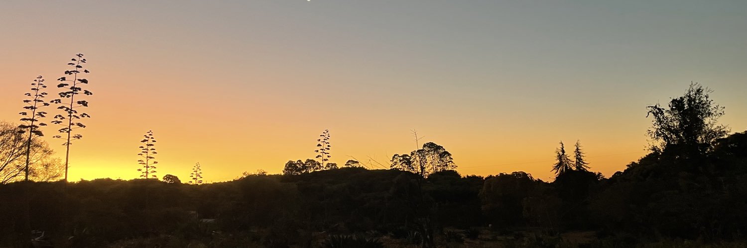 DiazAaron_'s profile banner image