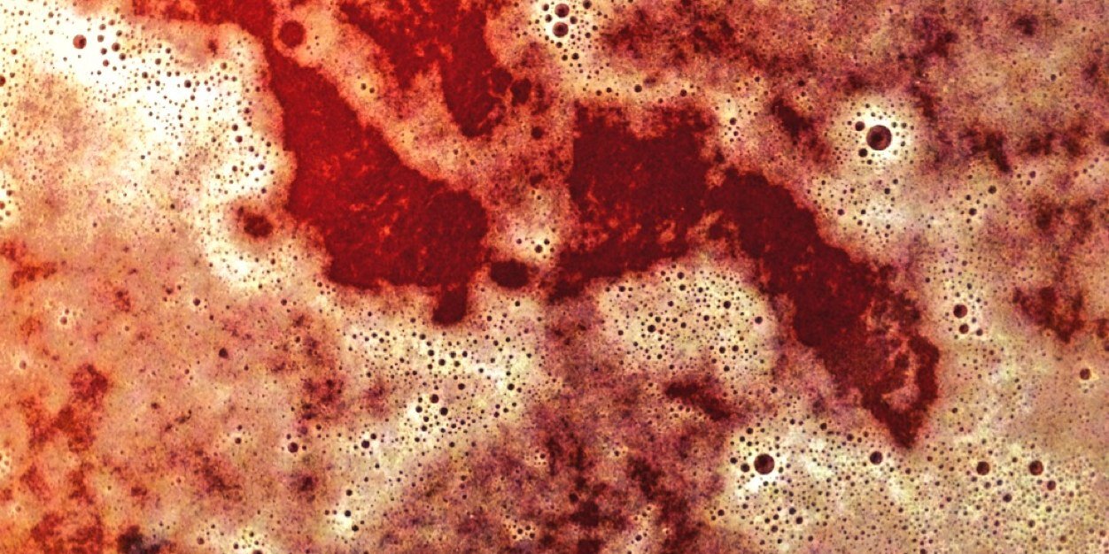 CaulfieldCider's profile banner image