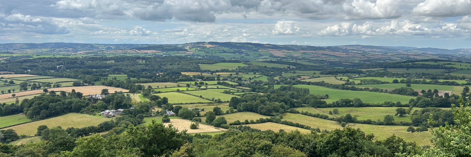 Lin Lin 妮妮 banner