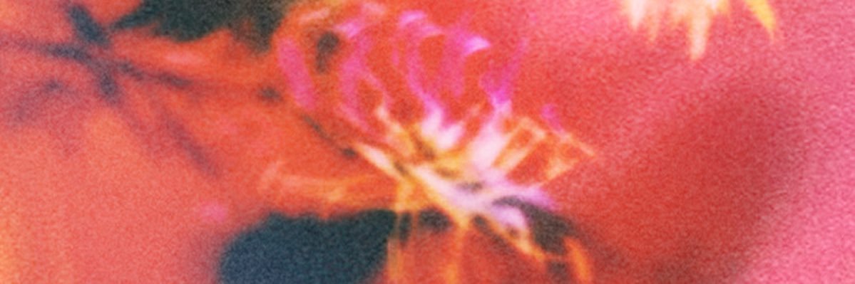 woolxgod's profile banner image