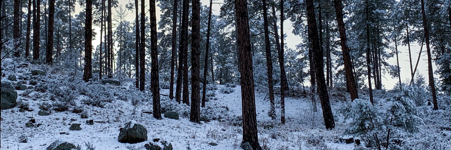 wesboard's profile banner image
