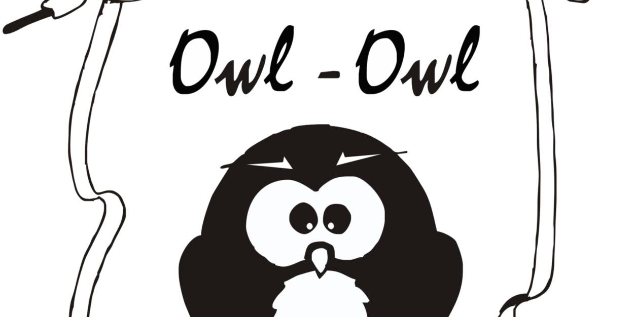 owlowl_'s profile banner image