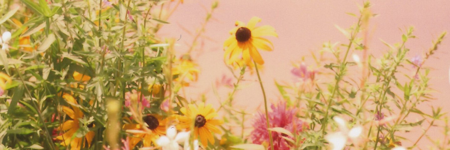 emirinator's profile banner image