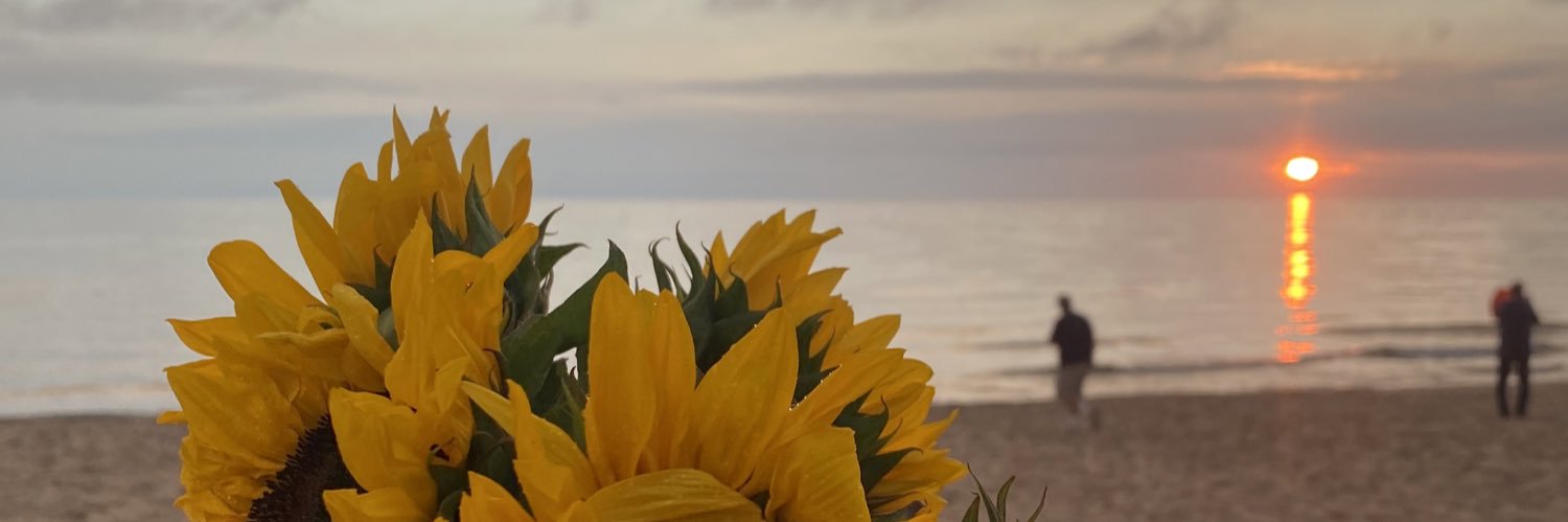 EmilySueeeee's profile banner image