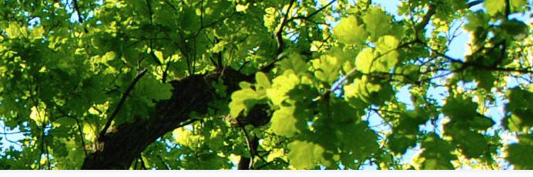 Kollektivenberied Fr banner