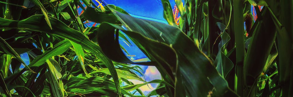 Farms of Canada banner