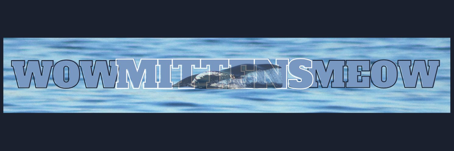 WowMittensMeow's profile banner image