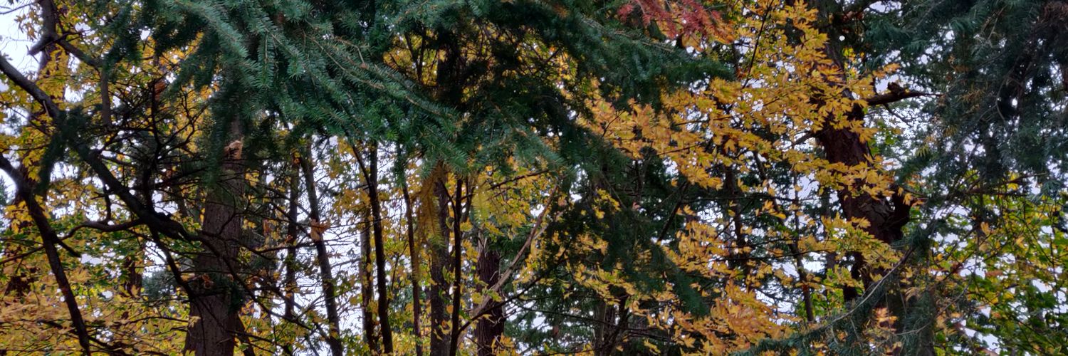 TashCotter's profile banner image