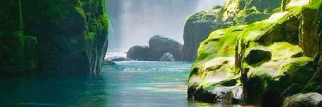 TaiwanNaturist banner