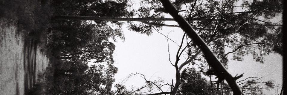 otrofeto's profile banner image