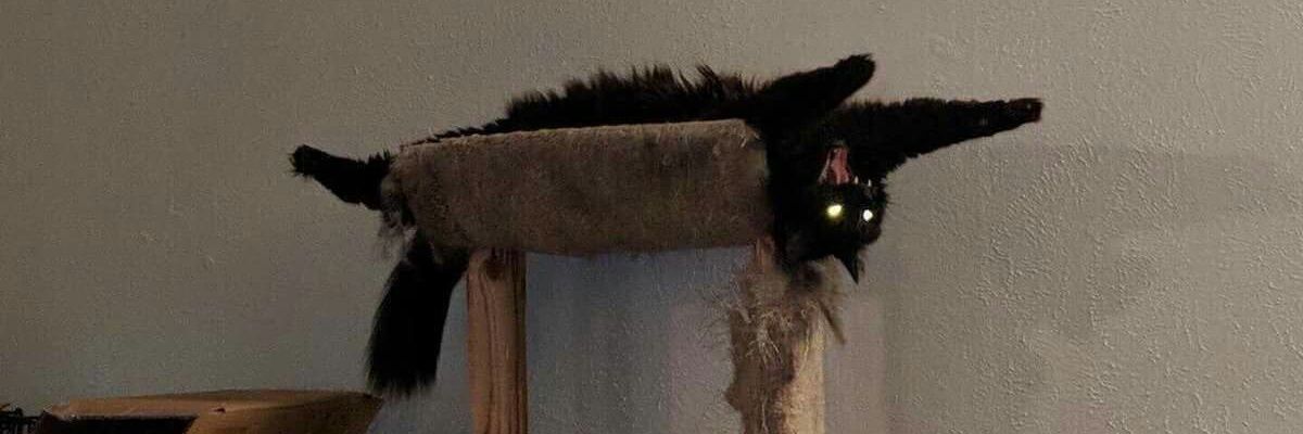 bobswarley_'s profile banner image