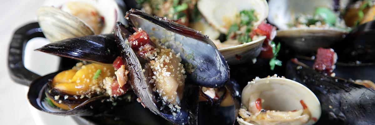 Flex Mussels banner