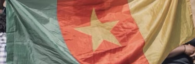 DCNamata's profile banner image
