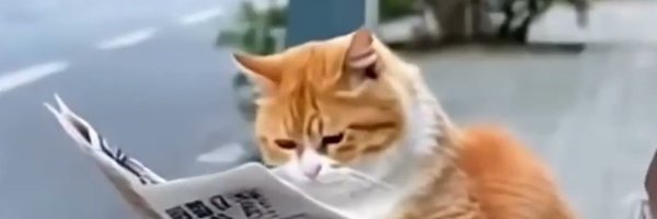 typocatCAv2 Profile Banner