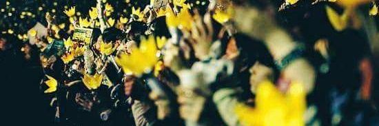 korecanebru98's profile banner image
