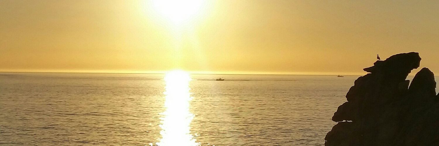 jureyl's profile banner image