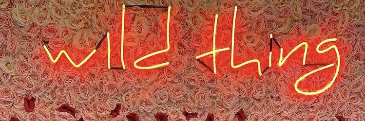 blastedblue's profile banner image