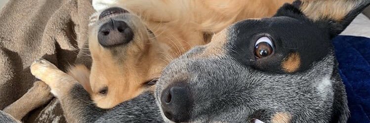 ItzyWitzyy's profile banner image